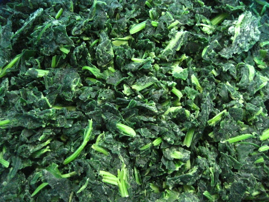 High Quality IQF Chopped Spinach 3/8", Frozen Spinach Chop