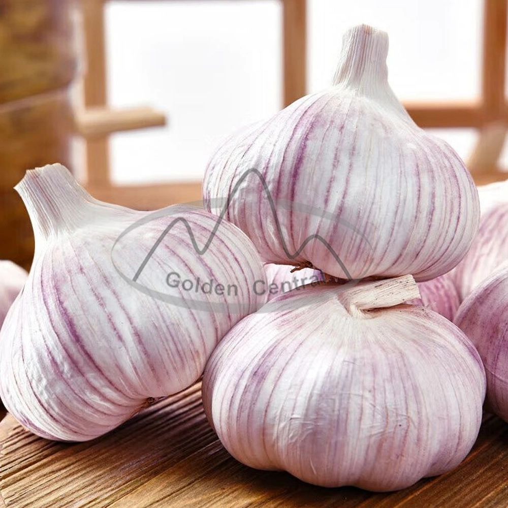 Exporting Garlic Peeled Garlic Frozen Vacuum Packed Peeled Garlic