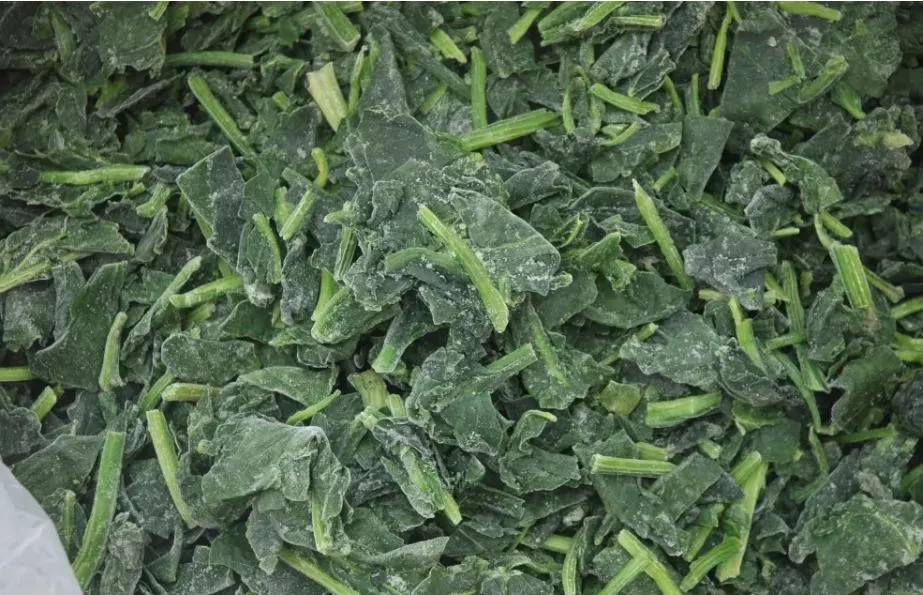 Frozen Spinach Cut High Quality IQF Chopped Spinach 3/8", Frozen Spinach Chop