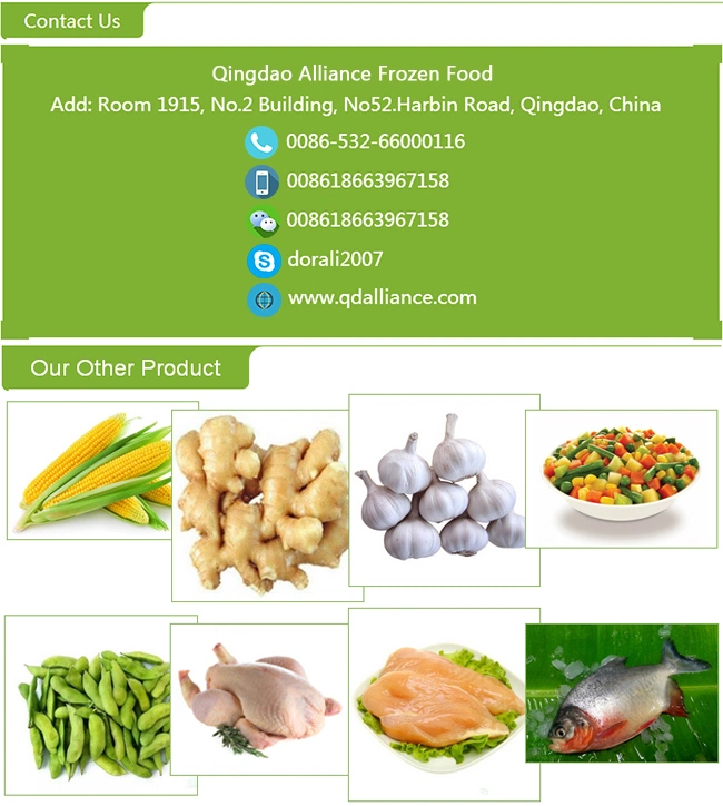 Top Quality Frozen Diced Ginger with Best Price