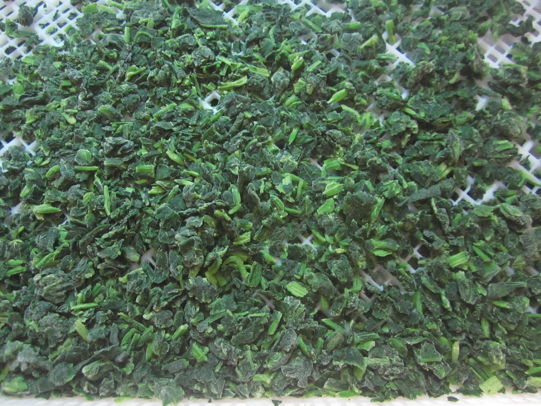 High Quality IQF Chopped Spinach 3/8", Frozen Spinach Chop